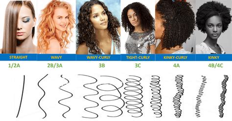 Whats Your Hair Type Adunni Organics