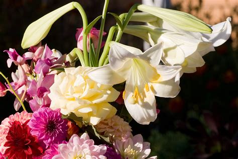 File:Bouquet of flowers apr07.jpg - Wikimedia Commons