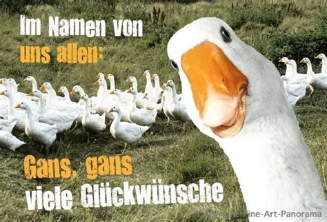 Sobald wir neue bilder haben posten wir sie stetig auf unsere webseite. 20 Besten Geburtstagskarten Lustig - Beste Wohnkultur, Bastelideen, Coloring und Frisur-Inspiration
