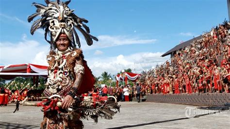 Mengenal Rumpun Suku Dayak Di Pulau Kalimantan Bamboo Kalimantan Hot