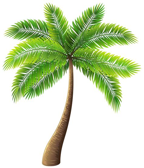 Palm Tree Clip Art 10 Free Cliparts Download Images On Clipground 2024