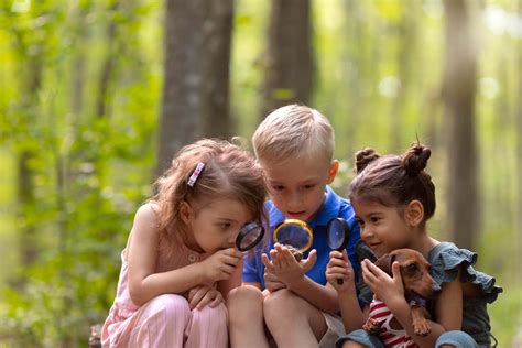 12 Advantages Of Summer Camp For Kids Beyond Fun And Play
