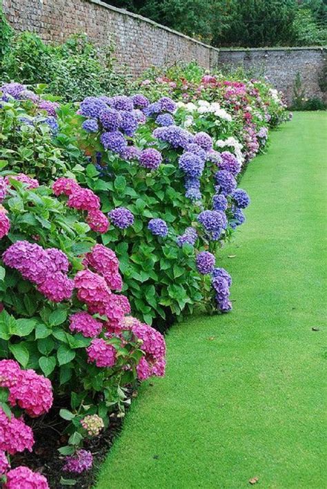 Hananhanna Beautiful Gardens Garden Inspiration Beautiful Hydrangeas
