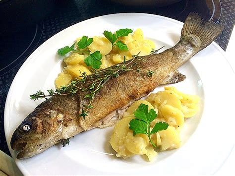 Forelle gebraten von acigrand