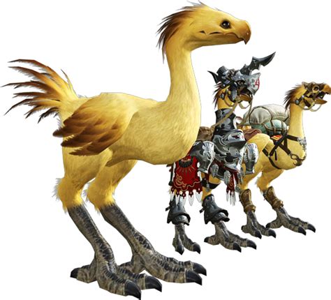 Chocobo Final Fantasy Xiv The Final Fantasy Wiki 10 Years Of