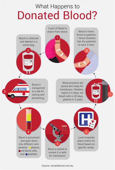 More about donating blood & platelets. Guide to Donating Blood: What to Know Before You Go | FIX.com