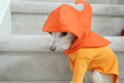Homestuck Cosplay Shit I Made My Cosplay Is Butt Dog Cosplay Well