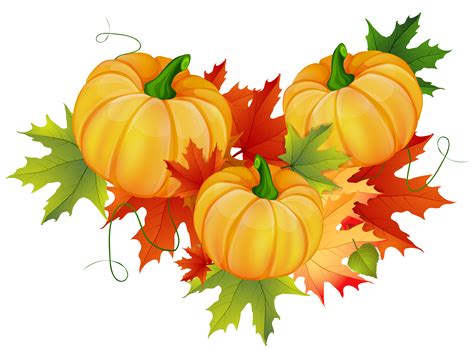 Pumpkin Thanksgiving Clip Art Thanksgiving Pumpkin Decoration Png