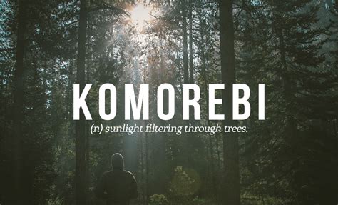 28 Beautiful Words That We Really Should Have In English Fascinately
