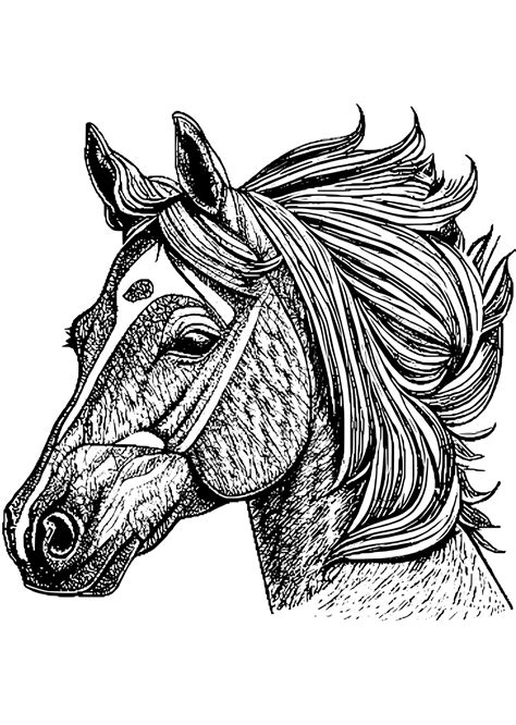 Beautiful Realistic Horses Coloring Page · Creative Fabrica