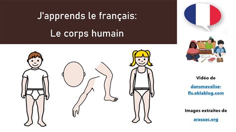 Japprends Le Français Fle Fls Lexique Du Corps Humain Youtube