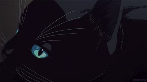 Tuesday Blogblack Cats In Japan Anime Amino Black Cat Anime Anime Black Cat Aesthetic