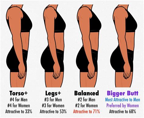 survey results the most attractive female body composition muscle fat and proportions — bony