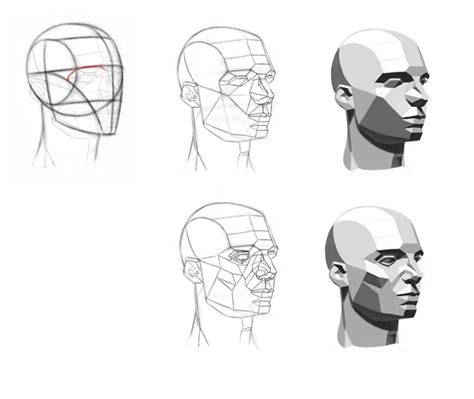 Asaros Planes Of The Head Anatomy Drawing Human Anatomy Drawing