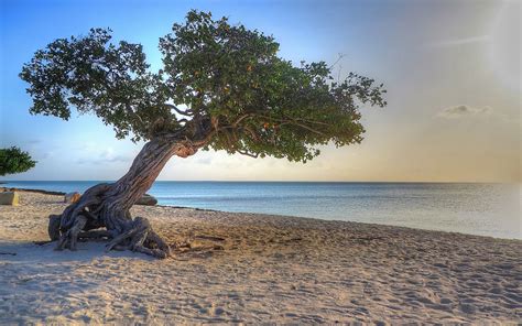 Aruba Beach Wallpapers Hd Desktop And Mobile Backgrounds