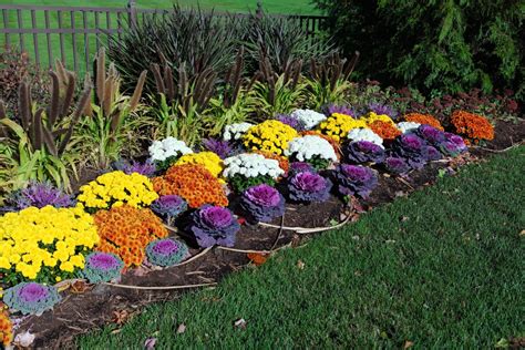 Lets Talk Gardening Renovating Flower Beds For Fall