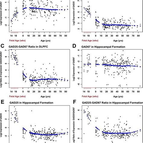 Gad1 Genotypic Variation And Gad25 Expression And The Gad25gad67