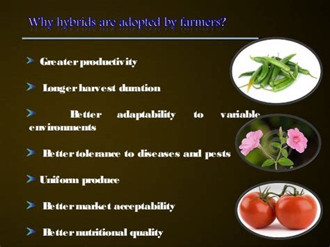 Hybrid Seed Production In Vegetables