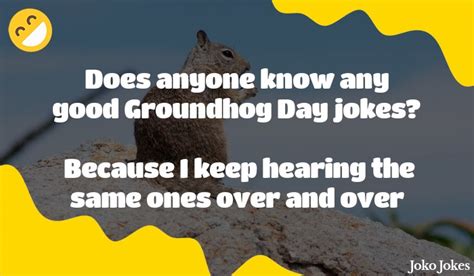 36 Groundhog Jokes And Funny Puns Jokojokes