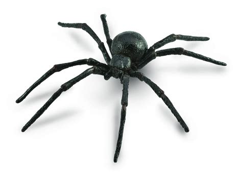 Buy Collecta Black Widow Spider Figurine At Mighty Ape Nz