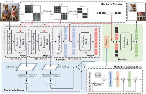 Convmae Masked Convolution Meets Masked Autoencoders Papers With Code