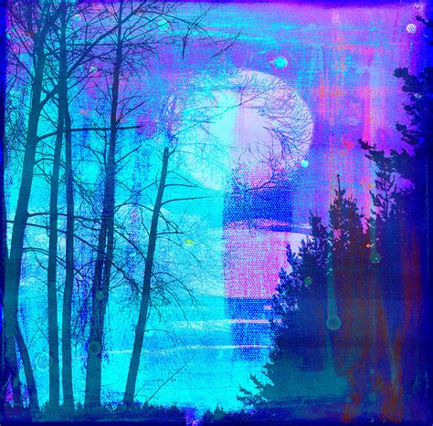 Moonlight In The Forest Digital Art By Shivonne Ross Fine Art America