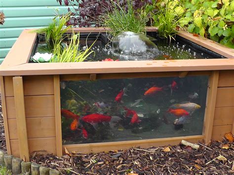 Lotus Clear View Garden Aquarium With Windows And Fountain Etsy