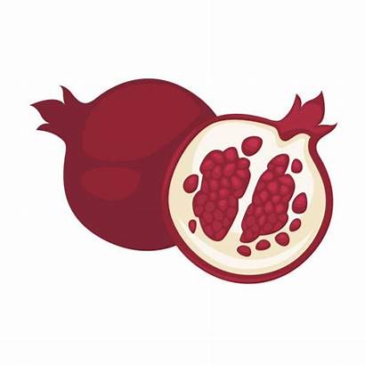 Pomegranate Icon Fruit Illustration Vector Depositphotos