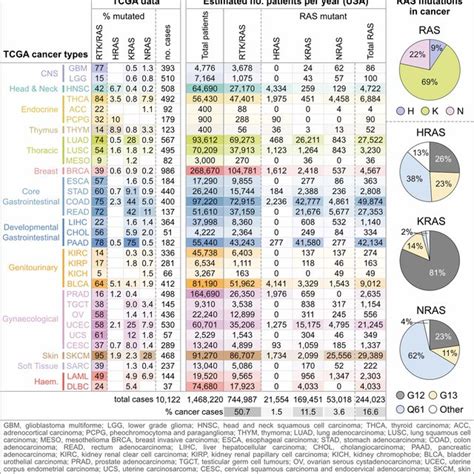 Ras Mutations In Cancer Download Scientific Diagram