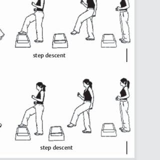 Pdf Lower Limb Loading In Step Aerobic Dance