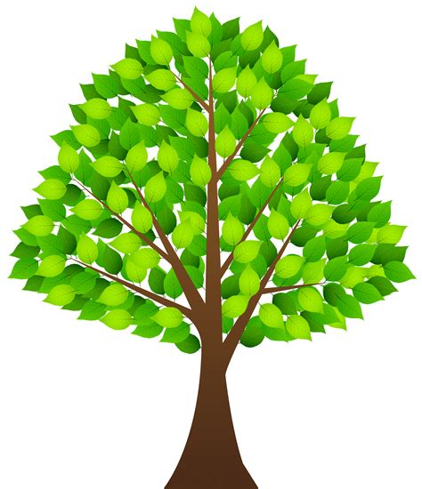Clipart Tree Collection Png Transparent Background Free Download Images And Photos Finder