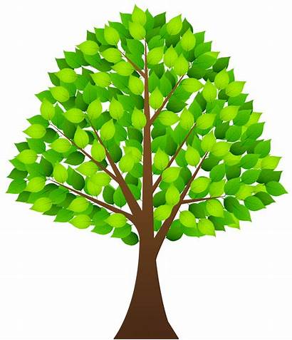 Tree Transparent Clip Clipart Trees Leaves Leaf
