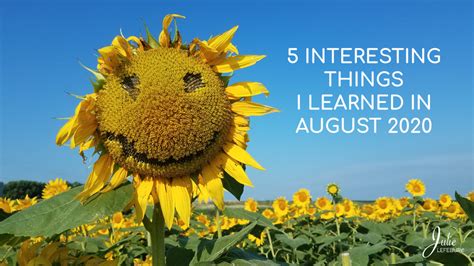 5 Interesting Things I Learned In August 2020 Julie Lefebure