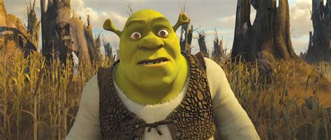 Movie Review Shrek Forever After Nme