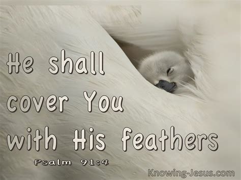 Psalm 914 He Shall Cover You With His Feathers Cream