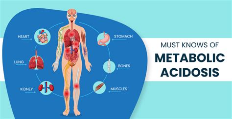 Metabolic Acidosis Causes Symptoms And Treatment Mrmed
