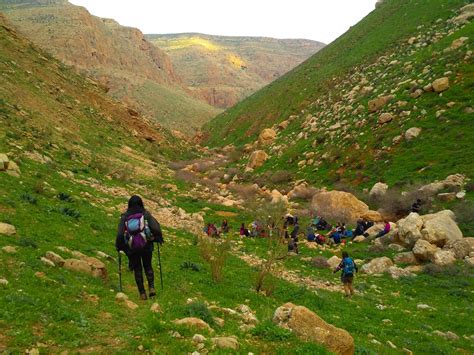 Explore The Land Of Israel With A Hiking Group Israel21c