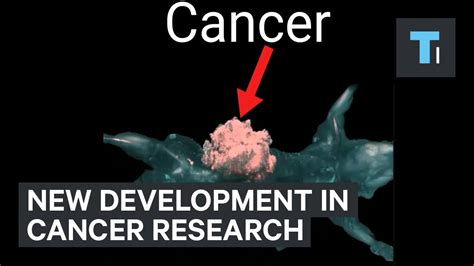 Scientists Have Developed A New Weapon To Fight Cancer Youtube
