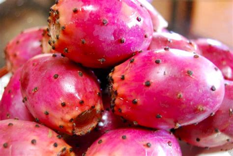 7 Health Benefits Of Prickly Pear The Luxury Spot