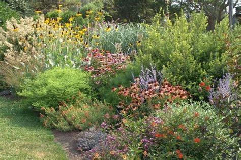 Low Maintenance Planting Design More Than Just Plant Selection ⋆ North