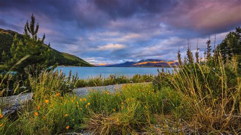 Lake Tekapo New Zealand Pebbles Clouds Mountains Grass Wallpaper