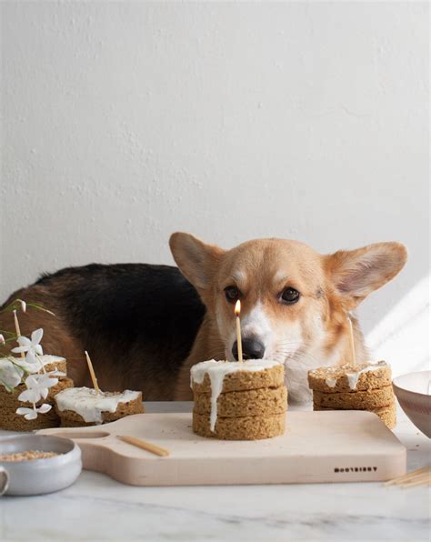 Products included in this article were carefully and independently selected by the happy puppy. Grain-Free Dog Cake Recipe - A Cozy Kitchen