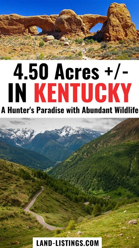 Tract 3 A Hunters Paradise With Abundant Wildlife At Creek Hollow