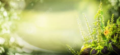 Green Nature Background Photo And Picture For Free Download Pngtree