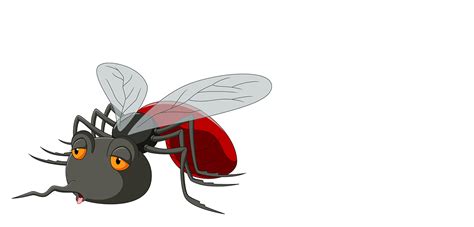 Pest control and exterminators in maine, massachusetts, new hampshire, connecticut and rhode island. Pest Control Near Me - Your Closest Expert!