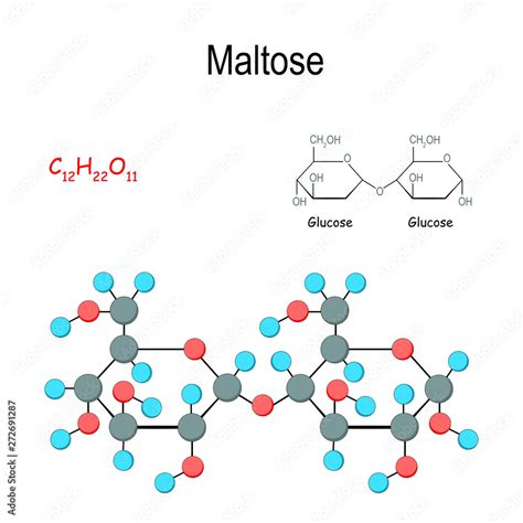 Maltose Chemical Structural Formula And Model Of Molecule Stock Vector