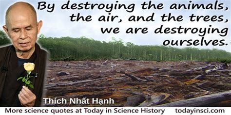 Deforestation Quotes 49 Quotes On Deforestation Science Quotes
