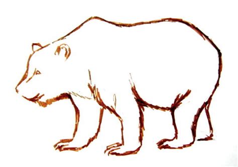 Brown Bear Drawing Sketch Drawing Skill