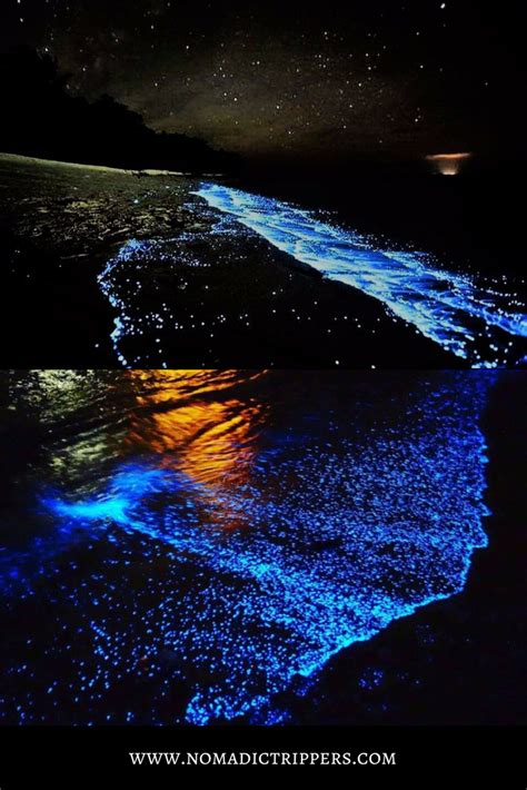 Bioluminescent Plankton Koh Ta Kiev Cambodia Go For A Swim In The