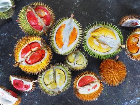 2d durian